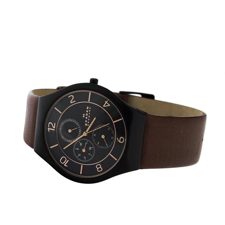 Skagen SKW6117