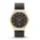 Skagen SKW6145