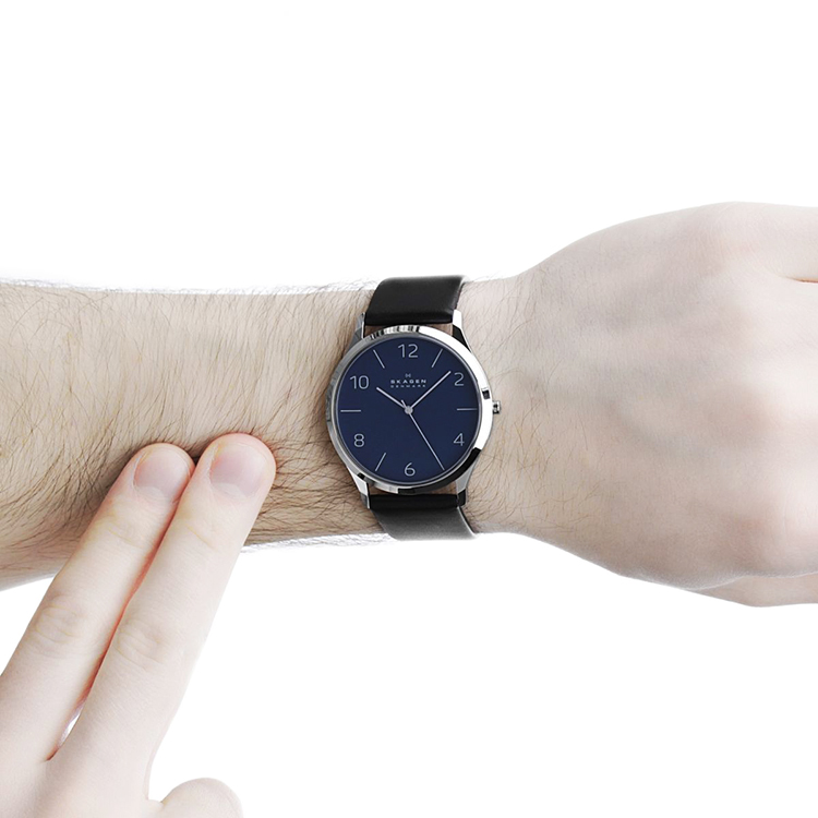 Skagen SKW6151