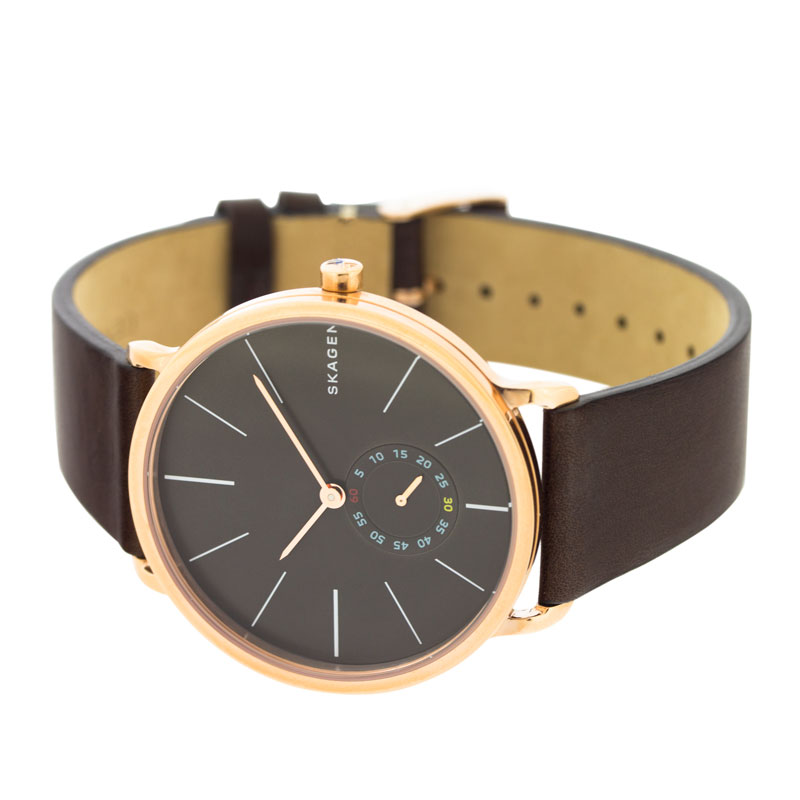Skagen SKW6213