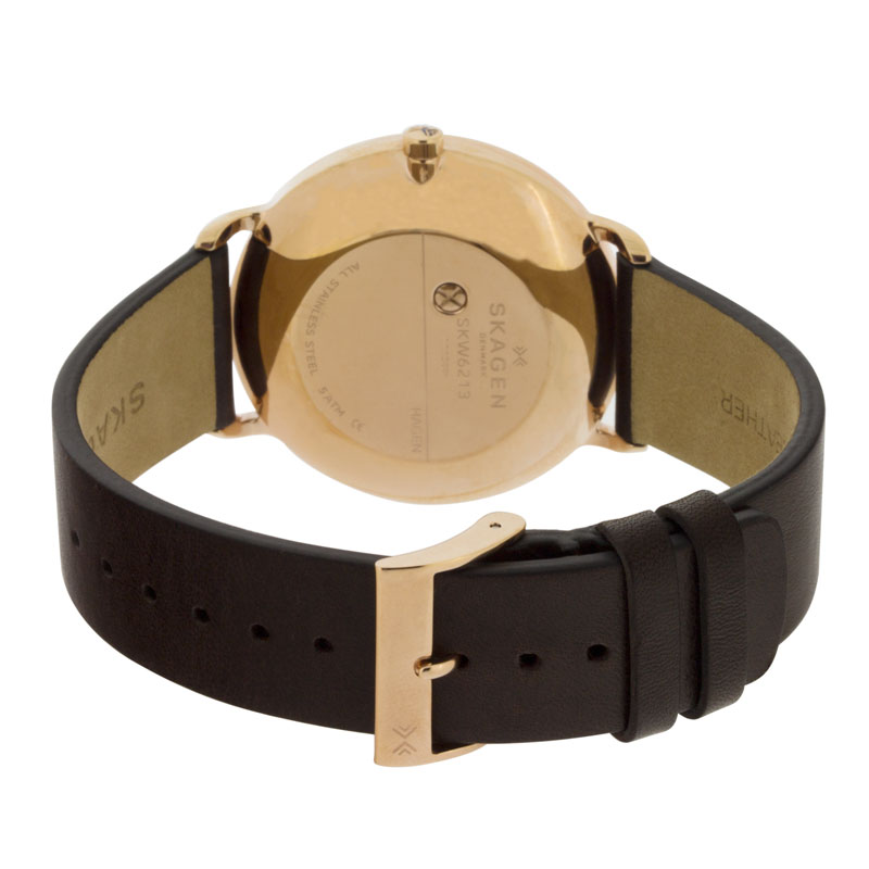 Skagen SKW6213