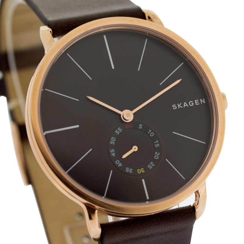 Skagen SKW6213