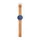 Skagen SKW6279