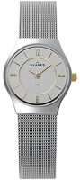 Skagen Mesh 233XSGSC