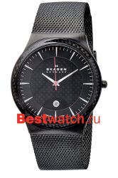 Skagen Leather 234XXLTB