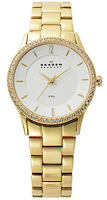 Skagen Links Steel 347SGXG