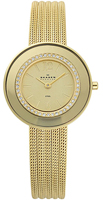 Skagen Mesh Classic 363SGG