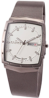 Skagen Mesh Titanium 396LTTW