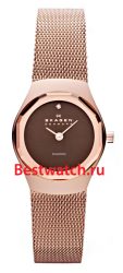 Skagen Mesh 432SRRD