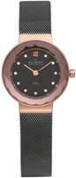 Skagen Mesh 456SRM