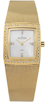 Skagen Mesh Rectangular 608SGG