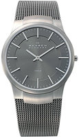 Skagen Mesh Titanium 694XLTTM