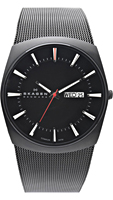 Skagen Mesh Titanium 696XLTBB