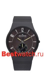 Skagen Mesh Titanium 805XLTBD