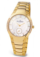 Skagen Links steel 888SGXG