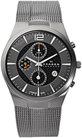Skagen Mesh Titanium 906XLTTM