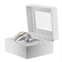 Skagen Mesh SKW1054