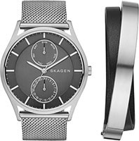 Skagen Mesh SKW1073
