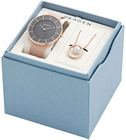 Skagen Mesh SKW1089