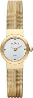 Skagen Mesh SKW2009