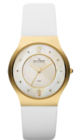 Skagen Leather SKW2027