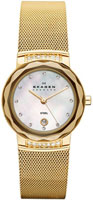 Skagen Mesh SKW2029