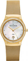 Skagen Mesh SKW2040