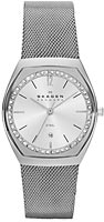 Skagen Mesh SKW2049