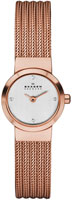 Skagen Mesh SKW2132