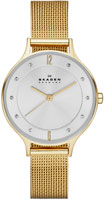 Skagen Mesh SKW2150