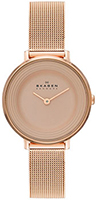 Skagen Mesh SKW2213