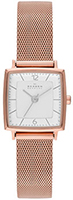 Skagen Mesh SKW2219