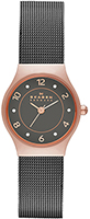 Skagen Mesh SKW2270