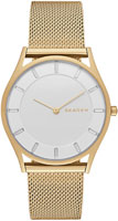Skagen Mesh SKW2377