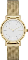 Skagen Mesh SKW2443