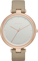 Skagen Leather SKW2484
