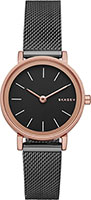 Skagen Mesh SKW2492