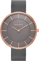 Skagen Mesh SKW2584