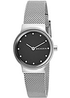 Skagen Mesh SKW2667