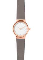 Skagen Leather SKW2669