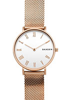Skagen Mesh SKW2714