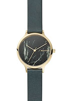 Skagen Leather SKW2720