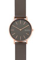 Skagen Leather SKW2794