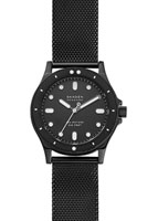 Skagen Mesh SKW2917