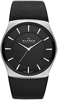 Skagen Leather SKW6017