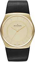 Skagen Leather SKW6018