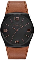 Skagen Leather SKW6040