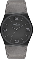 Skagen Leather SKW6041