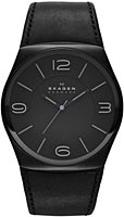 Skagen Leather SKW6043