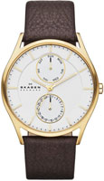 Skagen Leather SKW6066
